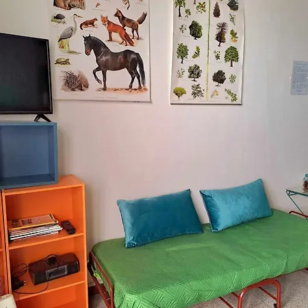 La Casa Sull'albero Apartamento *